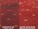 Poza