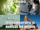 Poza
