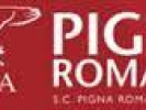 Poza