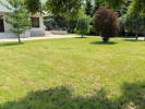Poza