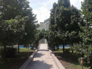 Poza