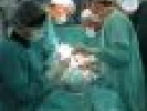 Poza
