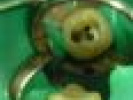Poza