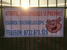 Poza