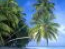 Poza