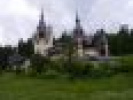 Poza