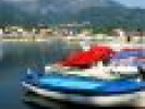 Poza
