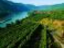 Poza