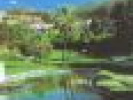 Poza