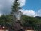 Poza