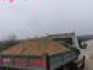 Poza