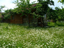 Poza