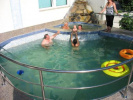 Poza