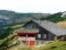 Poza