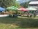 Poza