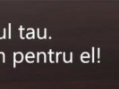 Poza