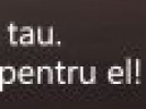Poza