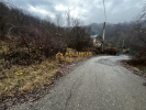 Poza