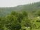 Poza