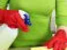 Poza