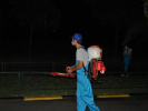 Poza