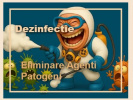 Poza