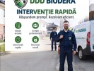 Poza