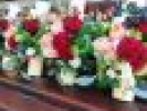 Poza
