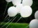 Poza