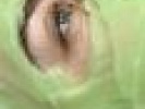 Poza