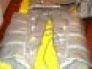 Poza