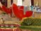Poza