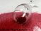 Poza
