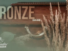 Poza