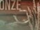 Poza