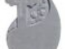 Poza