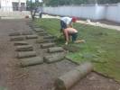 Poza