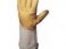 Poza