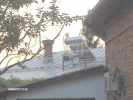Poza
