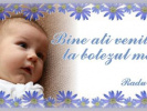 Poza