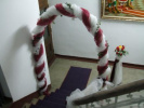 Poza