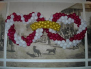 Poza