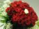 Poza