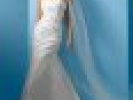 Poza