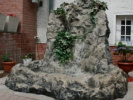 Poza