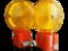 Poza