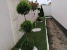 Poza