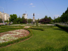 Poza