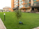 Poza