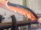 Poza